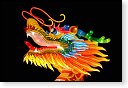 china light licht festival lichtshow show festiviteit glow evenement event chinees chinese verlichting draak dragon lichtfestival zoo